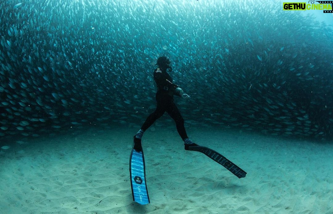Riley Elliott Instagram - Happy World Ocean Day!!! Although, as I read many ‘I love the ocean’ posts today, it makes me wonder if people/society are really, actually, emotionally connected to the ocean and the struggles it is facing. I know much of society doesn’t work or get to play in the ocean and therefore may not have a direct connection to it. But we can still be educated about its struggles and push for change. I know millions of people do their part every day all around the world. But we need more of us to push for the ocean. The writing has been on the wall for decades. Yet decision makers, who should represent ‘our interest’ continue to be led astray. Lobbyists seem to push productivity in the wrong direction - just look at the fact the Greenland Ice Cap has now gone beyond its melting point where it WILL melt and cannot be saved. The impact of that is global. I look locally at the Hauraki Marine ‘Park’ which is a dumping zone for sediment, farm fertiliser run off, and pollution. The ocean floor is scraped to death with dinosaur fishing technology. A once thriving marine food chain has now broken, with only tiny bait ball work ups existing these days as an indicator of that. I don’t post these depressing things to kill your Ocean Day buzz but rather to set some perspective on what matters as far as action. Governments need to make the hard changes. Ones that will temporarily cause some jobs losses, financial upset, in order to shift industry. But this will create jobs, ones with long term gains that are sustainable & ultimately more profitable. Yet society makes decisions based on three or four year election cycles of popularity. So please, post your pictures like I have, which represent special moments where the Ocean and yourself connected. It may be a stunning interaction with fish. It may be an explanation of how you harvest your food, or it may be the work you do to conserve a species or invent a technology to improve our ocean. But then please push further with your messaging, inspire others. Educate others. Ensure that others are empowered. And if we all can step up that little bit more, we may overcome the big bully called the lobbyist