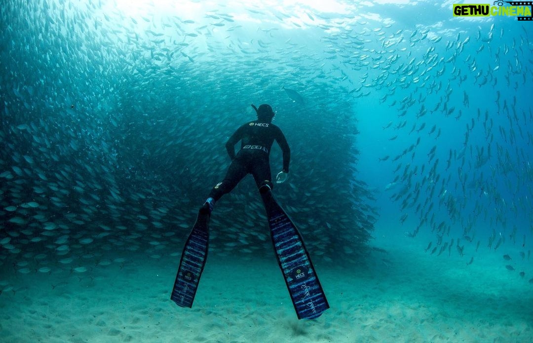 Riley Elliott Instagram - Happy World Ocean Day!!! Although, as I read many ‘I love the ocean’ posts today, it makes me wonder if people/society are really, actually, emotionally connected to the ocean and the struggles it is facing. I know much of society doesn’t work or get to play in the ocean and therefore may not have a direct connection to it. But we can still be educated about its struggles and push for change. I know millions of people do their part every day all around the world. But we need more of us to push for the ocean. The writing has been on the wall for decades. Yet decision makers, who should represent ‘our interest’ continue to be led astray. Lobbyists seem to push productivity in the wrong direction - just look at the fact the Greenland Ice Cap has now gone beyond its melting point where it WILL melt and cannot be saved. The impact of that is global. I look locally at the Hauraki Marine ‘Park’ which is a dumping zone for sediment, farm fertiliser run off, and pollution. The ocean floor is scraped to death with dinosaur fishing technology. A once thriving marine food chain has now broken, with only tiny bait ball work ups existing these days as an indicator of that. I don’t post these depressing things to kill your Ocean Day buzz but rather to set some perspective on what matters as far as action. Governments need to make the hard changes. Ones that will temporarily cause some jobs losses, financial upset, in order to shift industry. But this will create jobs, ones with long term gains that are sustainable & ultimately more profitable. Yet society makes decisions based on three or four year election cycles of popularity. So please, post your pictures like I have, which represent special moments where the Ocean and yourself connected. It may be a stunning interaction with fish. It may be an explanation of how you harvest your food, or it may be the work you do to conserve a species or invent a technology to improve our ocean. But then please push further with your messaging, inspire others. Educate others. Ensure that others are empowered. And if we all can step up that little bit more, we may overcome the big bully called the lobbyist
