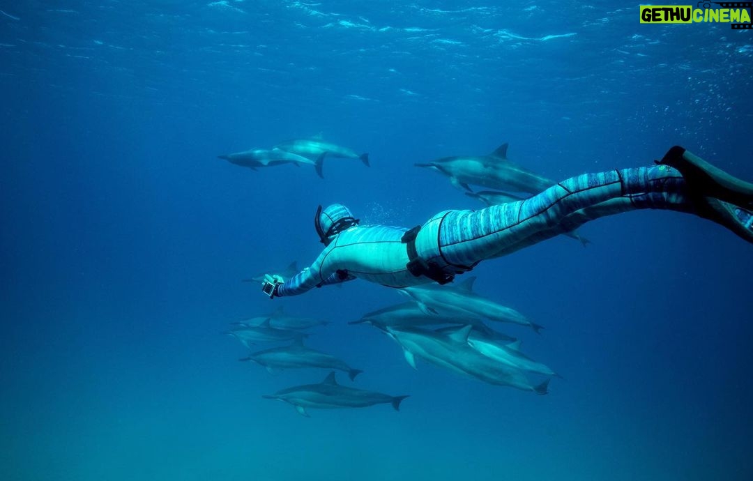 Riley Elliott Instagram - Happy World Ocean Day!!! Although, as I read many ‘I love the ocean’ posts today, it makes me wonder if people/society are really, actually, emotionally connected to the ocean and the struggles it is facing. I know much of society doesn’t work or get to play in the ocean and therefore may not have a direct connection to it. But we can still be educated about its struggles and push for change. I know millions of people do their part every day all around the world. But we need more of us to push for the ocean. The writing has been on the wall for decades. Yet decision makers, who should represent ‘our interest’ continue to be led astray. Lobbyists seem to push productivity in the wrong direction - just look at the fact the Greenland Ice Cap has now gone beyond its melting point where it WILL melt and cannot be saved. The impact of that is global. I look locally at the Hauraki Marine ‘Park’ which is a dumping zone for sediment, farm fertiliser run off, and pollution. The ocean floor is scraped to death with dinosaur fishing technology. A once thriving marine food chain has now broken, with only tiny bait ball work ups existing these days as an indicator of that. I don’t post these depressing things to kill your Ocean Day buzz but rather to set some perspective on what matters as far as action. Governments need to make the hard changes. Ones that will temporarily cause some jobs losses, financial upset, in order to shift industry. But this will create jobs, ones with long term gains that are sustainable & ultimately more profitable. Yet society makes decisions based on three or four year election cycles of popularity. So please, post your pictures like I have, which represent special moments where the Ocean and yourself connected. It may be a stunning interaction with fish. It may be an explanation of how you harvest your food, or it may be the work you do to conserve a species or invent a technology to improve our ocean. But then please push further with your messaging, inspire others. Educate others. Ensure that others are empowered. And if we all can step up that little bit more, we may overcome the big bully called the lobbyist