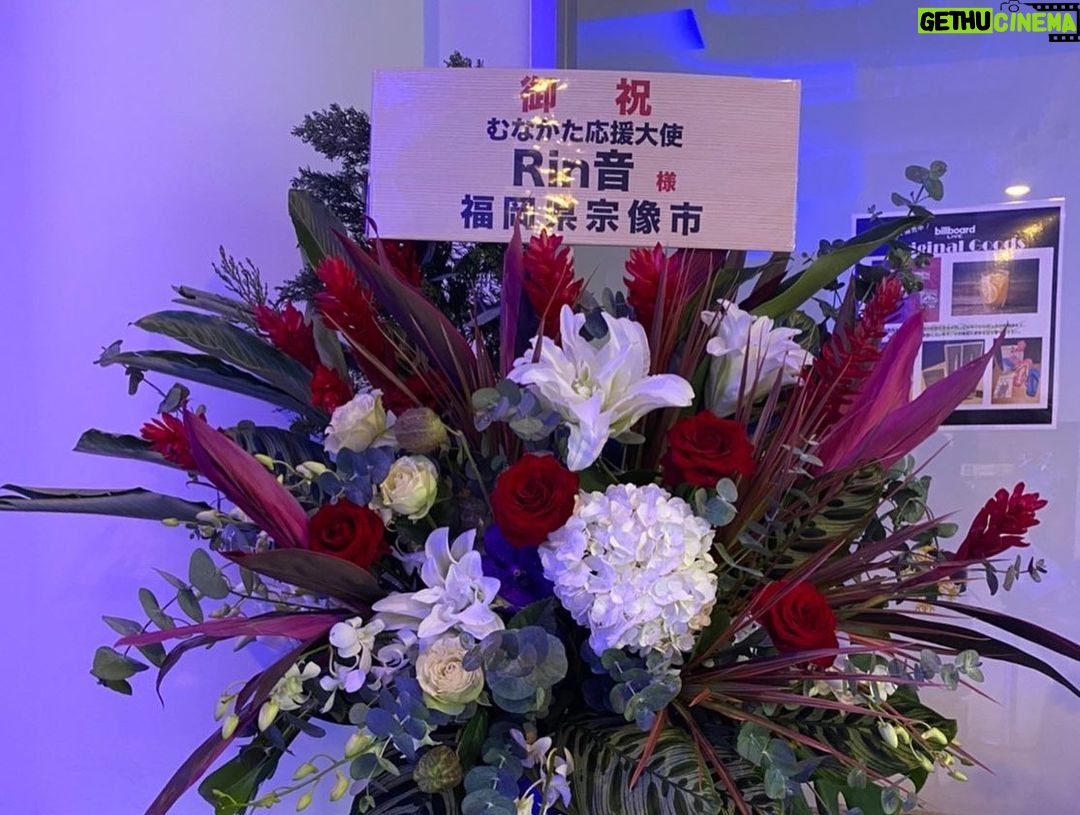 Rinne - 3.1K Likes - 来年厄年やないかい。
祓っとこ
祓えますって人連絡ください
トナ会最高