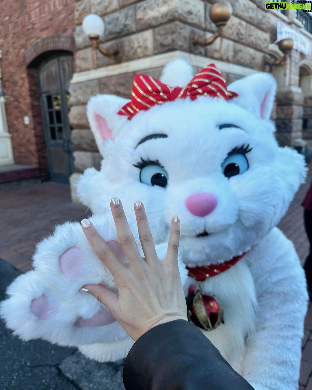 Ring Liao Instagram - 🇯🇵Tokyo, Day 2 去了3次的Tokyo Disney還是從來沒去過land🤣 這次遇到40週年跟聖誕月,好多限定商品真的超可愛!!! 強烈推薦大家餐廳多去幾間! 裡面都會有賣限定的40週年小東西,是有食物也有小禮物的, 一般紀念商店裡不會賣的那種! 我每次去Disney都要買一個髮窟做紀念 你們也會這樣嗎? 這次傑瑞鼠很難得跟我一起耍可愛😆 趕緊拍好拍滿! 還是他只是頭太冷? Top & Skirt by @wave_shine 上衣是不規則設計的braTop,下身是褲裙不用怕走光~ Disneysea Tokyo- Japan