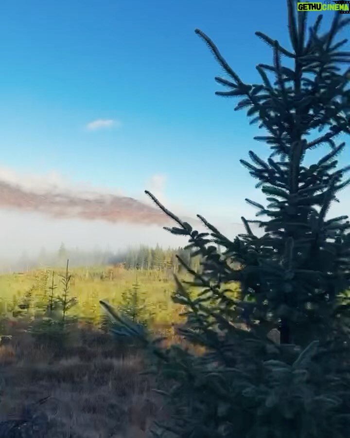 Rita Ora Instagram - I had THE MOST incredible time in Scotland!! Matched my outfit to the trees, obviously ππΌββοΈπ§‘β¨ I'll be back sooooon! We both loved exploring and living the Shrek fantasyβ€οΈ Feeling refreshed and recharged πββοΈππ
