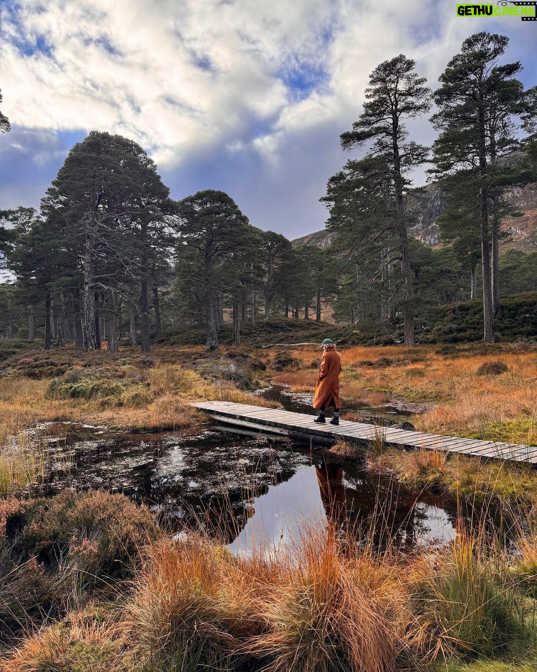 Rita Ora Instagram - I had THE MOST incredible time in Scotland!! Matched my outfit to the trees, obviously ππΌββοΈπ§‘β¨ I'll be back sooooon! We both loved exploring and living the Shrek fantasyβ€οΈ Feeling refreshed and recharged πββοΈππ