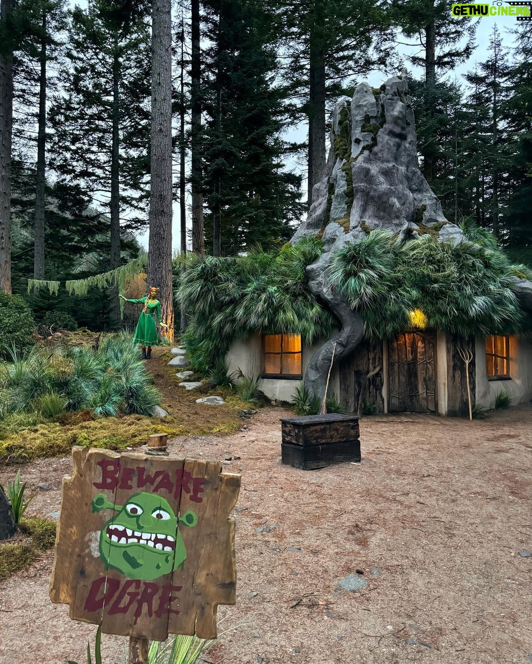 Rita Ora Instagram - Halloween energy hasn't faded and she looks GOOOOD in green!!💚🧌 Thanks @airbnb and @bchesky for this unforgettable swamp trip!! #ad