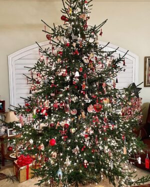 Robert Gant Instagram - Merry Christmas and Happy Holidays from Tampa! Thank you for the gift of our connection this year. Sending love and wishes for peace wherever you are and however you’re spending this time of year. #MerryChristmas #HappyHolidays #Family #ChristmasinTampa