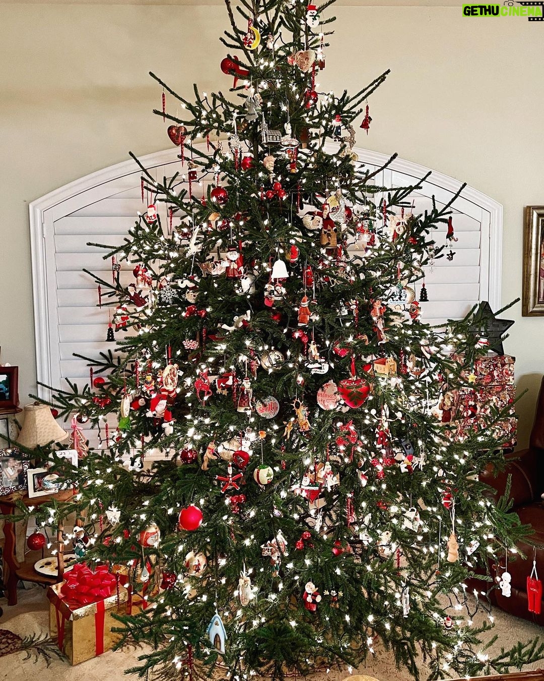 Robert Gant - 3.3K Likes - Merry Christmas and Happy Holidays from Tampa! Thank you for the gift of our connection this year. Sending love and wishes for peace wherever you are and however you’re spending this time of year. #MerryChristmas #HappyHolidays #Family #ChristmasinTampa