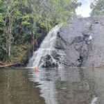 Roberta Sá Instagram - A natureza energiza e prepara para os desafios e alegrias. Tudo é vida, e regenera. O nordeste é o lugar onde sou mais feliz. Como tô feliz em anunciar que nosso já tradicional encontro no Carnaval de Natal vai acontecer no sábado, dia 10, no Polo Petrópolis 🎊