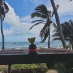 Roberta Sá Instagram - Férias das férias. Quem é mãe e pai sabe que viajar com filho tá longe de ser sinônimo de descanso. Foram 10 dias intensos na Bahia, deliciosos, mas profundamente exaustivos! Lina tá começando a querer andar e todo cuidado é pouco. Apaixonada, não pode ver a praia que grita: -Mar, mar, maaaaar! Quando fechamos o pré-carnaval em Fortaleza, aceitamos o convite da @anasoter pra curtir uns dias no seu paraíso particular em Peroba. Dessa vez trouxemos rede de apoio e foram 4 dias (com sensação térmica de 15) de descanso, namoro, céu estrelado, full HD pra praia, peixe-boi, falésia, peixe frito, vinho branco, pastel de arraia, com a pequena ali do lado porque a gente precisa descansar , mas não quer desgrudar. Na sua morada amorosa na beira do mar tivemos dias felizes e ensolarados. Tava tão carecida. Amigos que amam grande e compartilham seus espaços físicos e espirituais são raros, tenho a sorte de ter a Ana e o Walter. Mil vezes obrigada, queridos! Quero mais e com vocês! Nossa família agradece demais!! Praia De Peroba, Icapuí, Ceará