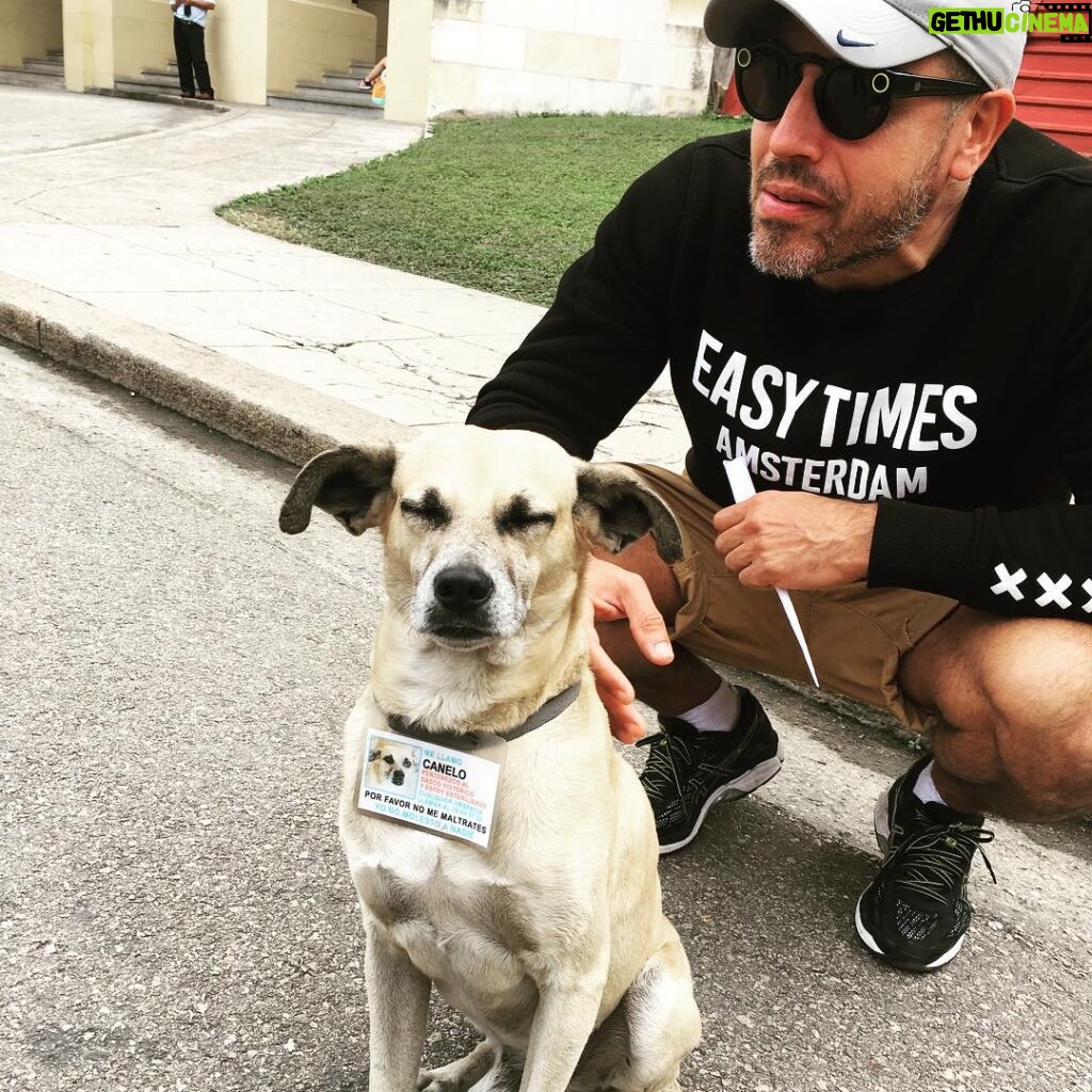 Roberto da Costa Instagram - Canello and me this little stray dog just sat in front of me and gave me some of his busy time “to pet him” 😀😂 #cuba #cubans #treat #their #stray #dogs #with #respect #world #example #gotta #love #the #cubanos #for #that #be #kind #to #all #animals #robertodacosta #havana #amsterdam #easytimesamsterdam