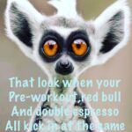 Roberto da Costa Instagram - When your pre workout doesn’t hit you that fast so you grabbed some extra pre’s and than suddenly the all hit you at the same time #when #all #your #preworkouts #preworkout #suddenly #kicks #in #and #youre #ready #to #eat #iron #weights #training #fitness #strength #power #holyshred #holy #shred #shredded #sport #fit #robertodacosta #amsterdam