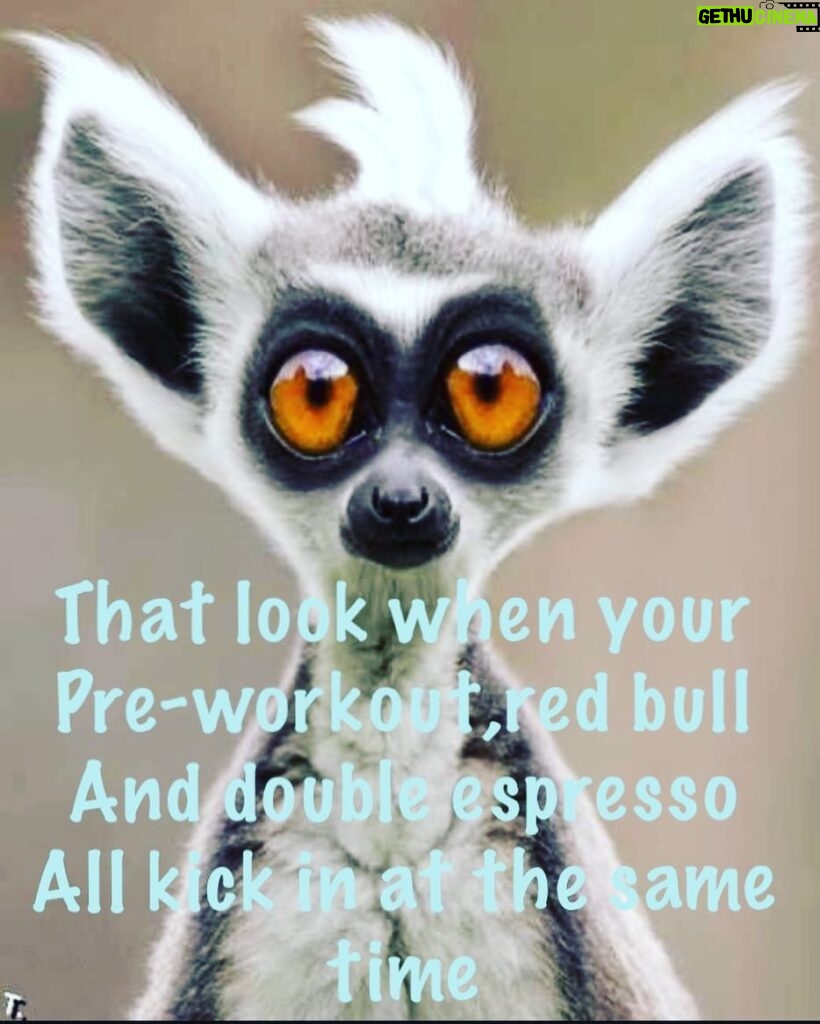 Roberto da Costa Instagram - When your pre workout doesn’t hit you that fast so you grabbed some extra pre’s and than suddenly the all hit you at the same time #when #all #your #preworkouts #preworkout #suddenly #kicks #in #and #youre #ready #to #eat #iron #weights #training #fitness #strength #power #holyshred #holy #shred #shredded #sport #fit #robertodacosta #amsterdam