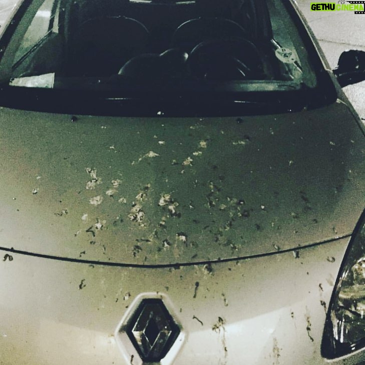 Roberto da Costa Instagram - I think the owner of this car had a “ SHITTY” day 🙈 #shitty #day #car #was #ruled #by #birds #shit #all #over #poor #renault #carwash #some #soap #and #wax #robertodacosta #amsterdam