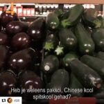 Roberto da Costa Instagram - Check out ludo his journey of his 8 months of @rtl4 “OBESE” tv 📺 program. Will he achieve his goal ?? 😀💪🏽. Check it out tonight 20:30 RTL 4 . @saintsandstars @healthcity @healthcity.premium @overloadworldwide @angelocijntje #tv #television #program #obese #dutch #version #saintsandstars #nextlevelgym #amsterdam #training #workout #discipline #gohardorgohome #losingweight #saintsandstarsway #overloadworldwide #nomercy #robertodacosta #weight #muscle #healthy #healthyfood #healthylifestyle Portoroz