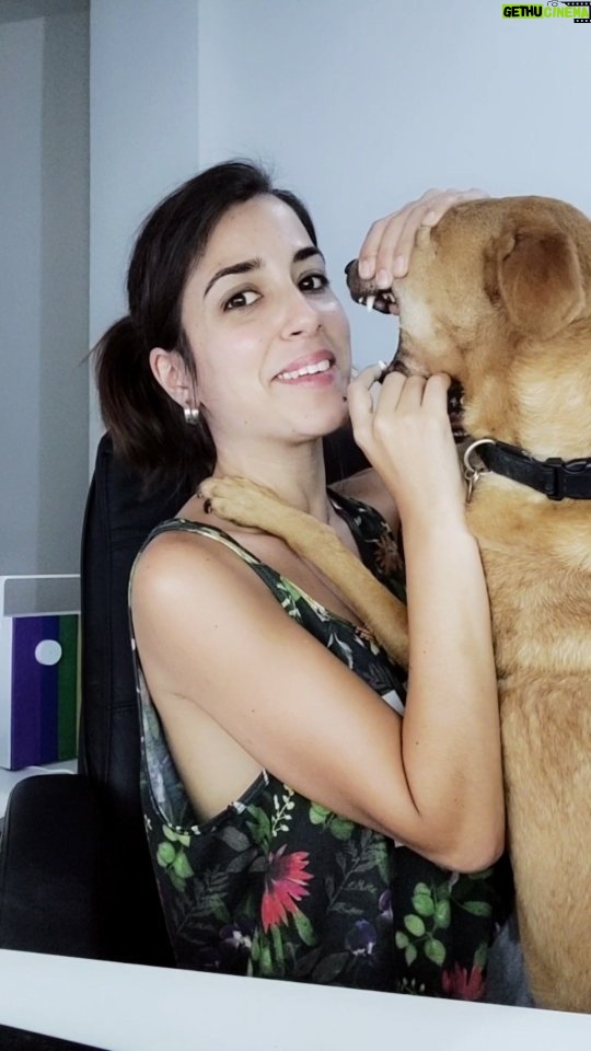 Rocío Vidal Instagram - ¿Por qué el soplido es frío y el aliento caliente? Mi perro lo mejor del vídeo no lo voy a negar #ciencia
