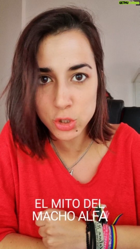 Rocío Vidal Instagram - Desmontando "gurús" de la seducción. El mito del MACHO ALFA (Vídeo completo en la bio) #ciencia #seduccion