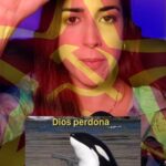 Rocío Vidal Instagram - Todos somos Gladis ✊💙 Vamos a analizar el comportamiento de esta orca viral y entender por qué lo está haciendo. ¿Tienen un plan? ¿Son tan inteligentes? ¿Son un grupo de orcas comunistas? ¿Qué hipótesis os convence más? #ciencia #naturaleza