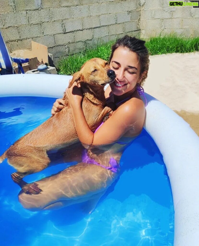 Rocío Vidal Instagram - Perdonadme que no esté entrando apenas por aquí, pero tengo muchas obligaciones, como darme un chapuzón con mi perro. Él también se nota que está sufriendo 😁🐶