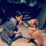 Rocío Vidal Instagram - Le he preguntado a Lennon si quiere ser mi marido perruno y ha dicho SÍIIIIIII 😻✨🥰✨😻