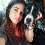 Rocío Vidal Instagram - Hola, preciosa Sía. Hacemos un trato. Yo te cuido y te doy todo el cariño que la familia que te abandonó no te dio, hasta que encontremos tu casa definitiva. Y tú no te subes encima de mí con tus 26 kgs de peso mientras estoy trabajando, que alguien tiene que traer comida a esta casa. ¿Alguien quiere conocer a esta increíble perra? Está en adopción y tenéis la info en mis stories destacados.