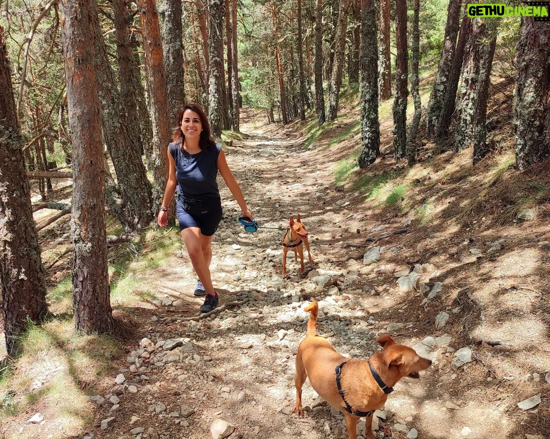 Rocío Vidal Instagram - Este fin de semana he podido escaparme de la asfixiante ola de calor y ha sido el soplo de vida y felicidad que necesitaba❤️. Han sido días complicados, en un piso en Madrid sin aire acondicionado; y como yo muchas familias y personas mayores solas se han encontrado en una situación similar. El problema está ahí, y cada vez será mayor. La situación del planeta hace que cada vez las olas de calor vayan a ser más largas y frecuentes; y si no hacemos algo, principalmente las grandes empresas contaminantes y los gobiernos, cada vez será peor. No sé qué más gritos de auxilio del planeta necesitan para actuar. Pero más allá de la situación dramática, agradezco mucho a proyectos como @1planet4all.es que están divulgando sobre cómo podemos contribuir a nivel individual para no empeorar la situación de nuestro querido medio ambiente, adaptarnos de la mejor manera posible y de forma constructiva. Así que ahí van algunos consejos para soportar el calor de la mejor manera posible: -Abrir las ventanas a primera hora de la mañana y por la noche para ventilar. En las horas más duras de calor, ventanas y persianas bajadas para crear un muro y que el calor no traspase. -Si tenéis Aire Acondicionado, ponedlo a una temperatura media estable de 22-24º. Es preferible eso que ir encendiendo y apagando a temperaturas mínimas. El planeta y tu bolsillo te lo agradecerán. -Intentad apagar siempre los aparatos eléctricos, como ordenadores, para que generen menos calor. Tened en cuenta que el “stand by” también genera calor y consumo eléctrico. -Tened plantitas 🌱. Las plantas disponen de un mecanismo fisiológico que ayuda a bajar la temperatura que las rodea llamada transpiración. Es un proceso por el cual absorben el calor, evaporan el agua y permiten refrescar el aire. Ánimo con las semanas que nos esperan y que nos sea lo más leve posible <3 #act4theplanet #1planet4all Sierra De Guadarrama, Madrid, España
