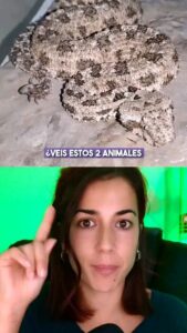 Rocío Vidal Instagram - A veces nada es lo que parece... Espero que soñéis bien esta noche 😇 #naturaleza