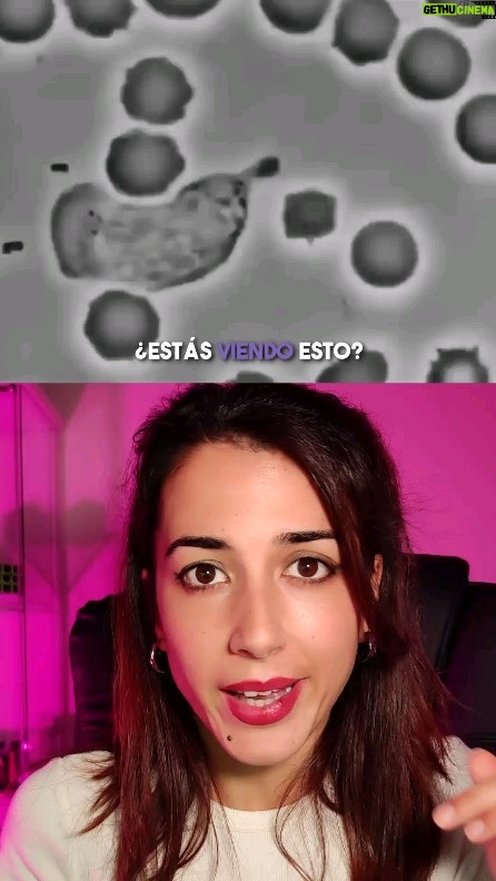 Rocío Vidal Instagram - No estás solo o sola, hay millones de glóbulos en tu organismo preocupados todo el día por ti 💜 #ciencia #salud #cuerpohumano