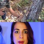 Rocío Vidal Instagram – El “tierno” gesto viral de esta mamá osa perezosa no es lo que parece… #ciencia #naturaleza