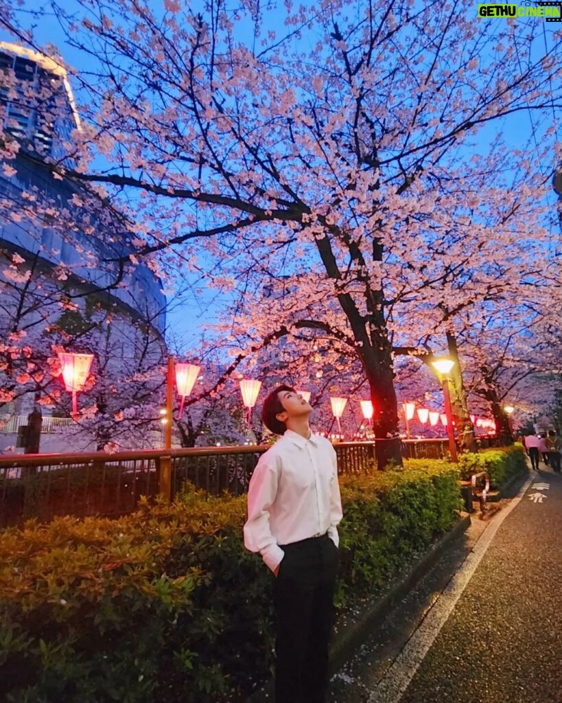 Rock Hyeon Instagram - 🌸 벚꽃아래