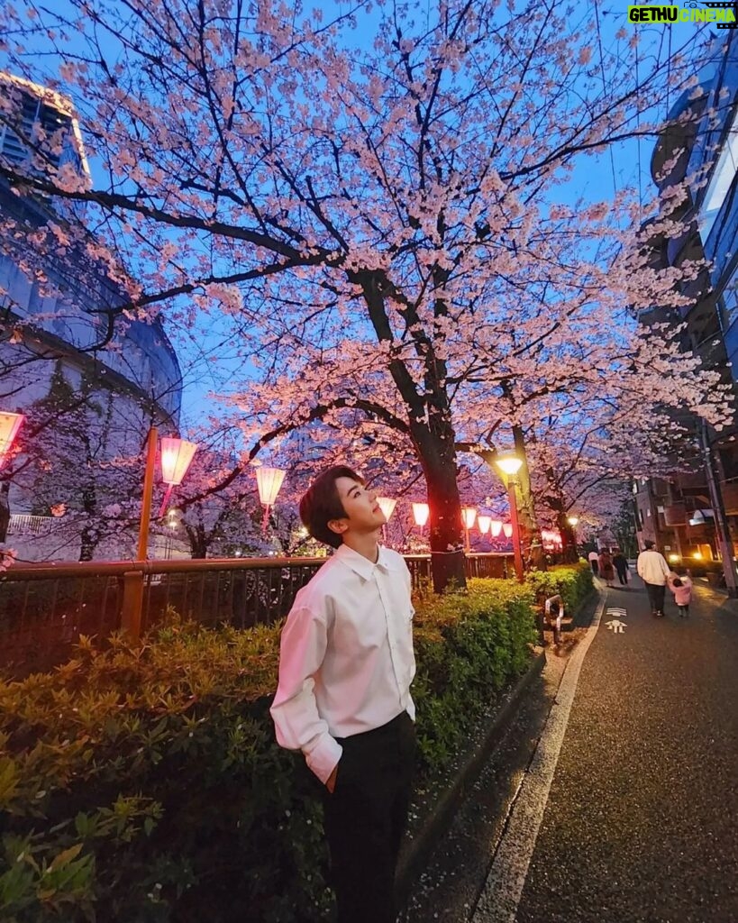 Rock Hyeon Instagram - 🌸 벚꽃아래