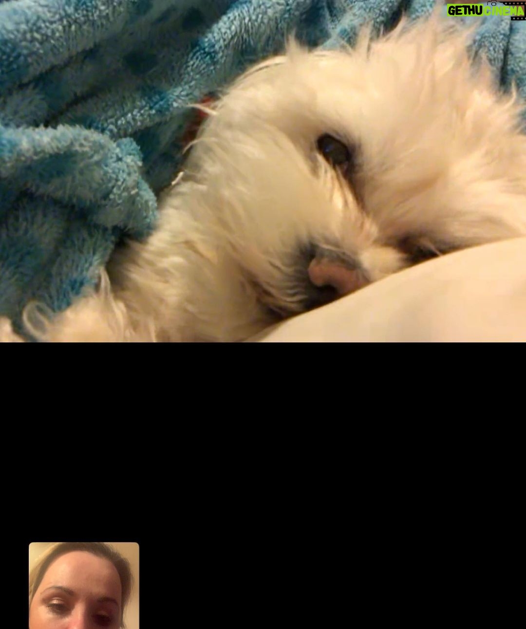 Roisin Conaty Instagram - FaceTiming my babes last night who is being such a good girl & staying with my mum while she is in the joint (self isolating)