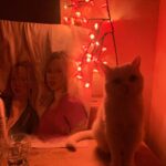Roisin Conaty Instagram - My old bedroom at my mums where a charcoal drawing that my sister and I had ‘commissioned’ 18 years ago at... Brent Cross Shopping centre has been unceremoniously dumped on my dresser. We panic got it to give to my mum as a Christmas present 😂😂Imagine that “Here’s a massive drawing of me” happy Christmas 😂 😂😂😂 cat loves it