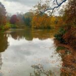 Roisin Conaty Instagram - 🍂🍁🍂