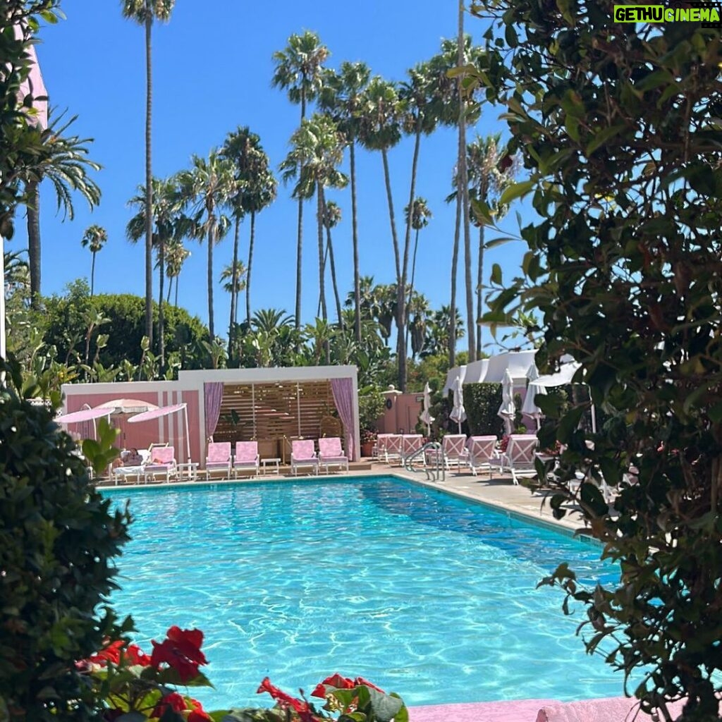 Romain Chavent Instagram - Why do i like Palm Trees & Pink so much ?! 🥰🌴👅 Cabana Cafe at The Beverly Hills Hotel