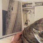 Roman Muradov Instagram – Here’s the book! Years of labor ignored by cat. 160 pages, hardcover with a literal silver lining. Only in French again, but there’s very little text this time. It’s my most straightforward graphic novel so far, very much a culmination/endpoint of all the dreamy stuff I was attempting through the previous decade. Get it signed in Paris wednesday and thursday (and not tuesday/wed as I mistakenly wrote on my newsletter) next week or Angouleme next weekend.
#comics #bandesdessinees #bd #graphicnovel #paris #fibd #angouleme #dargaud #book #cat Paris,France