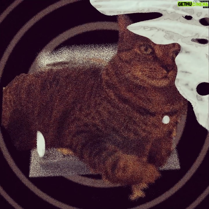 Roman Muradov Instagram - SOUND ON!!1 #cats #3dprinting #borges Brooklyn, New York