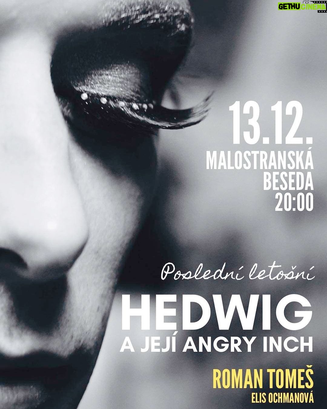 Roman Tomeš Instagram - Poslední letošní představení téhle kultovní broadwayské show @hedwigpraha ! Asi to zakončíme i “menším” večírkem, tak doražte!:) Vstupenky na ticketstream.cz @ticketstream.cz