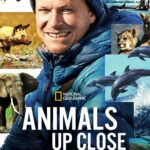Ronan Donovan Instagram – Check out my friend’s new series #AnimalsUpClose with @bertiegregory now streaming on Disney+. He’s been on some awesome adventures to track down killer whales creating waves in Antarctica, pumas in Patagonia, surfing marine iguanas in the Galapagos, wild dogs hunting for their very cute pups in Botswana and even close calls with jungle elephants in the Central African Republic. The team also showcases the challenges facing these species and celebrates some amazing people working to turnaround the human relationship with the natural world. @disneyplus 

One of my favorite scenes is in the first episode – Patagonia Pumas – where they captured an interaction between a wild puma and sheep guarding dogs at night. Check it out! Planet Earth