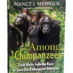Ronan Donovan Instagram - For those interested to learn more about what’s happening in western Uganda in regards to the competition for land and resources between humans and wild chimpanzees, please consider this book - Among Chimpanzees, by Dr. Nancy Merrick. ⁣ ⁣ “In Nancy Merrick’s inspiring memoir the future of the apes is too precarious to leave to the professionals. Her story of how she became a lifelong activist for chimpanzee conservation is heart-rending, uplifting and ultimately important because it gives powerful evidence of her core conviction: one person really can make a difference.” —Richard Wrangham, co-director of the Kibale Chimpanzee Project, Professor of Biological Anthropology, Harvard University⁣ ⁣ Learn more about this challenging conservation story in the current issue of @natgeo magazine, through my posts here and by following the conservation NGO @bulindichimps that is working on the ground to implement solutions. .⁣⁣⁣ .⁣⁣⁣ .⁣⁣⁣ .⁣⁣⁣ .⁣⁣⁣ #chimpanzee #chimp #chimpanzees #chimps #ape #wildlife #conservation #animals #africa #uganda #bulindi #bulindichimps #wildlifephotography #nature #natgeo⁣⁣⁣