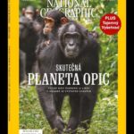 Ronan Donovan Instagram - For those of you living in Czechia (Czech Republic)🇨🇿 can keep an out for this cover showing the female chimpanzee named Lia with her daughter, Azania, hitching a ride on her back. I photographed this troop of wild chimpanzees in 2011 in Uganda’s Kibale National Park. ⁣⁣⁣ ⁣ I believe the cover text reads something in the realm of Real Planet of the Apes - the relationship between chimpanzees and people in Uganda is tested. ⁣ ⁣⁣⁣ This community of chimps, named the Kanyawara Community after the nearby village, has been studied by Dr. Richard Wrangham and others for nearly 40 years. This group of females and their dependents were traveling towards a fruiting fig tree to feed on it’s ripe fruits. ⁣⁣⁣ ⁣⁣⁣ In the final photo, you can see the young chimp called Likizo looking in to inspect the fig tree above where other chimps were already feeding. ⁣⁣⁣ .⁣⁣⁣⁣⁣ .⁣⁣⁣⁣⁣ .⁣⁣⁣⁣⁣ .⁣⁣⁣⁣⁣ .⁣⁣⁣⁣⁣ #chimpanzee #chimp #chimpanzees #chimps #ape #wildlife #conservation #animals #africa #uganda #bulindi #bulindichimps #wildlifephotography #nature #natgeo⁣⁣