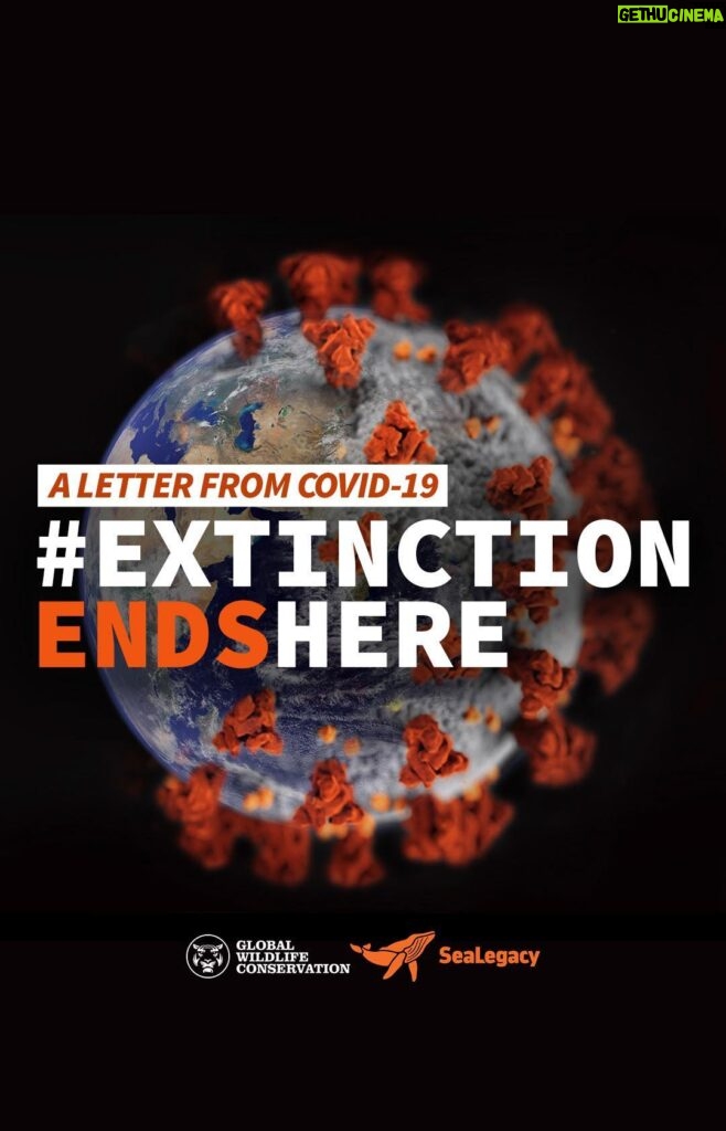Ronan Donovan Instagram - What comes after COVID-19? This video message from the virus to humankind is a chilling reminder that our future is intimately connected with all other life on Earth. We know where the pandemic came from, and we know how to stop the next one. It's time to make our voices heard. Enough is enough. Now that our own vulnerability has been laid bare, it's time to demand #ExtinctionEndsHere -- for all life on Earth. Link in my bio to learn more and so sign the declaration to end the commercial trade in wild animals. Video from @global_wildlife_conservation #covid19