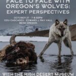 Ronan Donovan Instagram – Face to Face with Oregon’s Wolves: Expert Perspectives

I’ll be moderating a great lineup of panelists in Oregon next week at the High Desert Museum in Bend. 
I’m so looking forward to a conversation with these experts! 
October 27th 7:00 pm – 8:30 pm at the OSU-Cascades Edward J. Ray Hall

The event has sold out already, but you can be added to the waitlist – link in my bio. 

I’m also giving a talk the night before (also sold out w/ waitlist) and a fun family program midday on Saturday at the museum. Come say hello if you’re in the area🙂