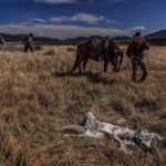 Ronan Donovan Instagram - I’m trying something new here and am now accepting applicants for a Research Assistant position to work on a longterm project titled Human-Predator Coexistence.⁣ ⁣ I am looking for a research assistant, preferably with a graduate degree, to help me collate information surrounding the relationship between humans and predators as part of a longterm Storytelling Fellowship with National Geographic Society @insidenatgeo. I have been working on this topic for the past 5 years and am looking for support with this new fellowship. I want to be able to put most of my energy into field work and creating the visuals for this international comparative project. ⁣ I am not affiliated with a university, this is for a visual storytelling project that I'll be working on in the coming year. ⁣ I am also interested in collaborating with researchers who are already working in the human-predator conflict/tolerance/coexistence space that I’m not already in contact with. ⁣ ⁣ Please feel free to share this with anyone who might be interested. ⁣ ⁣ Link in bio for more information and how to apply. ⁣ Planet Earth