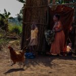 Ronan Donovan Instagram - Text below by @davidquammen from our article in the current issue of National Geographic Magazine @natgeo. This article puts spotlight on a troubling theme across western Uganda where humans and chimpanzees are in competition for resources. ⁣ ⁣ For more than three years after the trauma of her son’s abduction, Ntegeka Semata and her husband, Omuhereza Semata, a farmer, continued to live in their house. They built a bamboo fence around their tiny backyard, enclosing the cooking shed in what they hoped would be a safe zone for the family. “I am scared all the time that other chimpanzees might come back,” Ntegeka said in that earlier interview.⁣ ⁣ But the fence was flimsy, the chimps kept returning, and the Sematas felt under siege. Ntegeka couldn’t work in the garden. The children were sometimes too afraid to eat. Even their goat made piteous noises of fear. By the end of 2017, their house was vacant, with a broken window above the front door. The Sematas had fled and were living a marginalized existence in a rented room at a compound three miles away. They owned no farming land there. “I feel like we’ve been cast back into poverty,” she said.⁣ Meanwhile the remaining windows of their old house reflected only the faces of chimpanzees, which visited regularly, glowering in, confused and provoked by the chimp images mirrored there, which seemed to be glowering out.⁣ ⁣ Learn more about chimps in the current issue of @natgeo magazine, through my posts here and by following the conservation NGO @bulindichimps ⁣⁣ .⁣⁣ .⁣⁣⁣⁣ .⁣⁣⁣⁣ .⁣⁣⁣⁣ .⁣⁣⁣⁣ #chimpanzee #chimp #chimpanzees #chimps #ape #wildlife #conservation #animals #africa #uganda #bulindi #bulindichimps #wildlifephotography #nature #natgeo⁣⁣⁣
