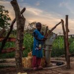Ronan Donovan Instagram - For those interested to learn more about what’s happening in western Uganda in regards to the competition for land and resources between humans and wild chimpanzees, please consider this book - Among Chimpanzees, by Dr. Nancy Merrick. ⁣ ⁣ “In Nancy Merrick’s inspiring memoir the future of the apes is too precarious to leave to the professionals. Her story of how she became a lifelong activist for chimpanzee conservation is heart-rending, uplifting and ultimately important because it gives powerful evidence of her core conviction: one person really can make a difference.” —Richard Wrangham, co-director of the Kibale Chimpanzee Project, Professor of Biological Anthropology, Harvard University⁣ ⁣ Learn more about this challenging conservation story in the current issue of @natgeo magazine, through my posts here and by following the conservation NGO @bulindichimps that is working on the ground to implement solutions. .⁣⁣⁣ .⁣⁣⁣ .⁣⁣⁣ .⁣⁣⁣ .⁣⁣⁣ #chimpanzee #chimp #chimpanzees #chimps #ape #wildlife #conservation #animals #africa #uganda #bulindi #bulindichimps #wildlifephotography #nature #natgeo⁣⁣⁣