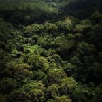 Ronan Donovan Instagram - In the coming days, I will be sharing images and stories from an article David Quammen (@davidquammen) and I worked on with help from @bulindichimps that is printed in the current August issue of National Geographic Magazine (@natgeo)⁣⁣ ⁣⁣ Many of you messaged me about how I took the aerial photos from my previous post, so I thought to break up these serious posts and share a few behind the scenes images from the aerial photography days. Most of the images I posted yesterday were taken over the course of a 2 day flight with @davidquammen in 2017. We flew in a Cessna C172, piloted by the skillful, Patrick Drate. I’ve posted the route we took across western Uganda from the Kinyara Sugar Factory landing strip to the airfield at the Toro-Semuliki Wildlife Reserve where we spent the night before returning to Kinyara the following morning to have two twilight sessions from the air. I did take a couple images early on in the project with a drone, which was always a spectator sport in rural Uganda (see photo 🙂) .⁣⁣⁣⁣ .⁣⁣⁣⁣ .⁣⁣⁣⁣ .⁣⁣⁣⁣ .⁣⁣⁣⁣ #chimpanzee #chimp #chimpanzees #chimps #ape #wildlife #conservation #animals #africa #uganda #wildlifephotography #nature #natgeo⁣⁣⁣⁣