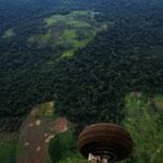 Ronan Donovan Instagram - In the coming days, I will be sharing images and stories from an article David Quammen (@davidquammen) and I worked on that’s printed in the current August issue of National Geographic Magazine (@natgeo) ⁣⁣ ⁣ At its core, this story is about deforestation. @natgeo, Quammen and I chose to highlight this flash point between humans and wild chimpanzees in Uganda as a way to have a different conversation about the global challenge of deforestation. ⁣ ⁣ What does deforestation in Uganda look like? This series of images shows the scale of deforestation across western Uganda. At current rates of deforestation, ~2-3% per year, Uganda will lose the remaining native forest cover outside if heavily protected areas in 30 years - according to a 2010 paper titled: Status of forests in Uganda. ⁣Much of the deforestation isn’t through large scale industrial logging that we in the Northern Hemisphere are used to seeing. These forests are disappearing by millions of tiny cuts that add up over years and decades. ⁣ Learn more and consider a donation (link in my bio) to the NGO @bulindichimps and learn more in the @natgeo magazine issue, on shelves now. ⁣ ⁣ The collision between humans and wild things is nothing new, after all, we came from the same wild lands. What is new is our mental detachment from those wild lands paired with our capacity to fulfill our insatiable appetite for resources. Now, when a modern human meets the gaze of a wild animal they are too disconnected to see how their futures are intertwined. The health of the land will forever dictate the health of humanity. ⁣ .⁣⁣ .⁣⁣ .⁣⁣ .⁣⁣ .⁣⁣ #chimpanzee #chimp #chimpanzees #chimps #ape #wildlife #conservation #animals #africa #uganda #wildlifephotography #nature #natgeo⁣⁣