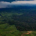 Ronan Donovan Instagram - In the coming days, I will be sharing images and stories from an article David Quammen (@davidquammen) and I worked on that’s printed in the current August issue of National Geographic Magazine (@natgeo) ⁣⁣ ⁣ At its core, this story is about deforestation. @natgeo, Quammen and I chose to highlight this flash point between humans and wild chimpanzees in Uganda as a way to have a different conversation about the global challenge of deforestation. ⁣ ⁣ What does deforestation in Uganda look like? This series of images shows the scale of deforestation across western Uganda. At current rates of deforestation, ~2-3% per year, Uganda will lose the remaining native forest cover outside if heavily protected areas in 30 years - according to a 2010 paper titled: Status of forests in Uganda. ⁣Much of the deforestation isn’t through large scale industrial logging that we in the Northern Hemisphere are used to seeing. These forests are disappearing by millions of tiny cuts that add up over years and decades. ⁣ Learn more and consider a donation (link in my bio) to the NGO @bulindichimps and learn more in the @natgeo magazine issue, on shelves now. ⁣ ⁣ The collision between humans and wild things is nothing new, after all, we came from the same wild lands. What is new is our mental detachment from those wild lands paired with our capacity to fulfill our insatiable appetite for resources. Now, when a modern human meets the gaze of a wild animal they are too disconnected to see how their futures are intertwined. The health of the land will forever dictate the health of humanity. ⁣ .⁣⁣ .⁣⁣ .⁣⁣ .⁣⁣ .⁣⁣ #chimpanzee #chimp #chimpanzees #chimps #ape #wildlife #conservation #animals #africa #uganda #wildlifephotography #nature #natgeo⁣⁣