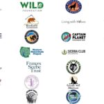 Ronan Donovan Instagram - This November, the people of Colorado will have the chance to vote for a viable gray wolf population to be brought back into their wild forests after a 70-year absence. In the past, the reintroduction of wolves to wild lands in the lower-48 States was decided by national policy makers in Washington. This vote is unique in that the decision would come from the public of Colorado to determine whether free-willed nature is truly valued in that state. It would be a remarkable step towards the restoration of a keystone species that would ultimately renew a historic wolf connection from the High Arctic down the spine of our continent to Yellowstone and south to Mexican border. ⁣ ⁣ I’ve committed to spreading the word and while this will be determined by Coloradans, I also feel that as Americans we all have a stake in returning wolves to appropriate public lands across the United States and in Colorado. The initial 200,000 signatures from the public of Colorado were gathered and Initiative 107 will be on the November 2020 ballot in Colorado. ⁣ ⁣ Please share this information or this post with your Colorado friends and learn more about how you can help #restorethehowl at wolfactionfund.com @rockymtnwolf and take a look at the language of Intuitive 107. To quote an article by the Center for Biological Diversity @centerforbiodiv , “Initiative 107 instructs Colorado Parks and Wildlife to develop, after public input, a science-based plan for reintroducing wolves to western Colorado by 2023.”⁣ ⁣ Other’s who are using their reach include @janefonda, @psihoyos , @leilanimunter and @alexilubomirski. #colorado #wolves #wildnature #restoration Planet Earth