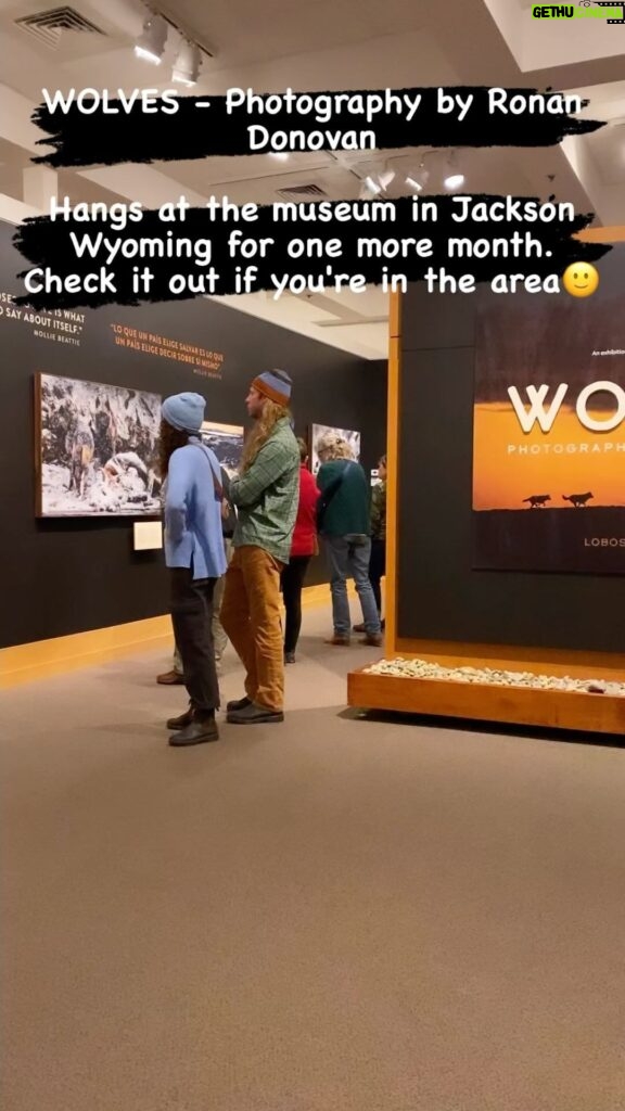 Ronan Donovan Instagram - The exhibit titled 'Wolves - Photography by Ronan Donovan' will hang for one more month at the National Museum of Wildlife Art in Jackson Wyoming. If you're in the area, stop in to check it out. @wildlifeartjh @insidenatgeo @natgeomuseum @natgeo #wolves #jackson #natfeo