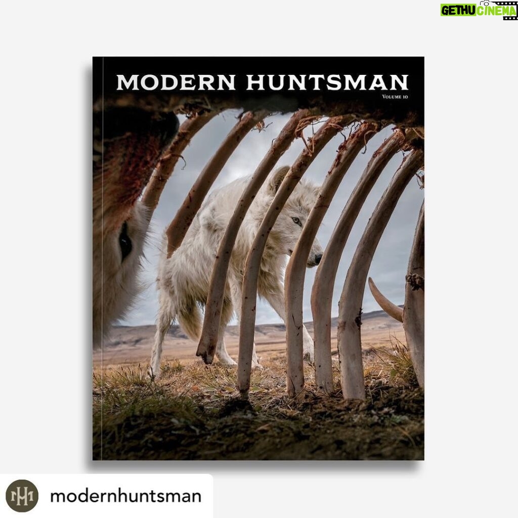Ronan Donovan Instagram - I was asked to write an article about wolves for @modernhuntsman Volume 10. I chose to share my personal perspective on the human-wolf relationship surrounding my experience with Arctic wolves. I open the article with this quote: “Nature is not more complicated than you think, it is more complicated than you can think.” - Frank Edwin Egler, Plant Ecologist From @modernhuntsman: ⁠ As always, we have a wide variety of story styles and topics in this issue, but our cover story is an in-depth look into the controversy surrounding the managements of wolves in the US, told from the perspectives of Nat Geo Explorers @rob_g_green and @ronan_donovan. You don't want to miss this issue, and can reserve a copy at the link in our bio, or on our website.⁠ ⁠ Cover photo by @ronan_donovan Earth
